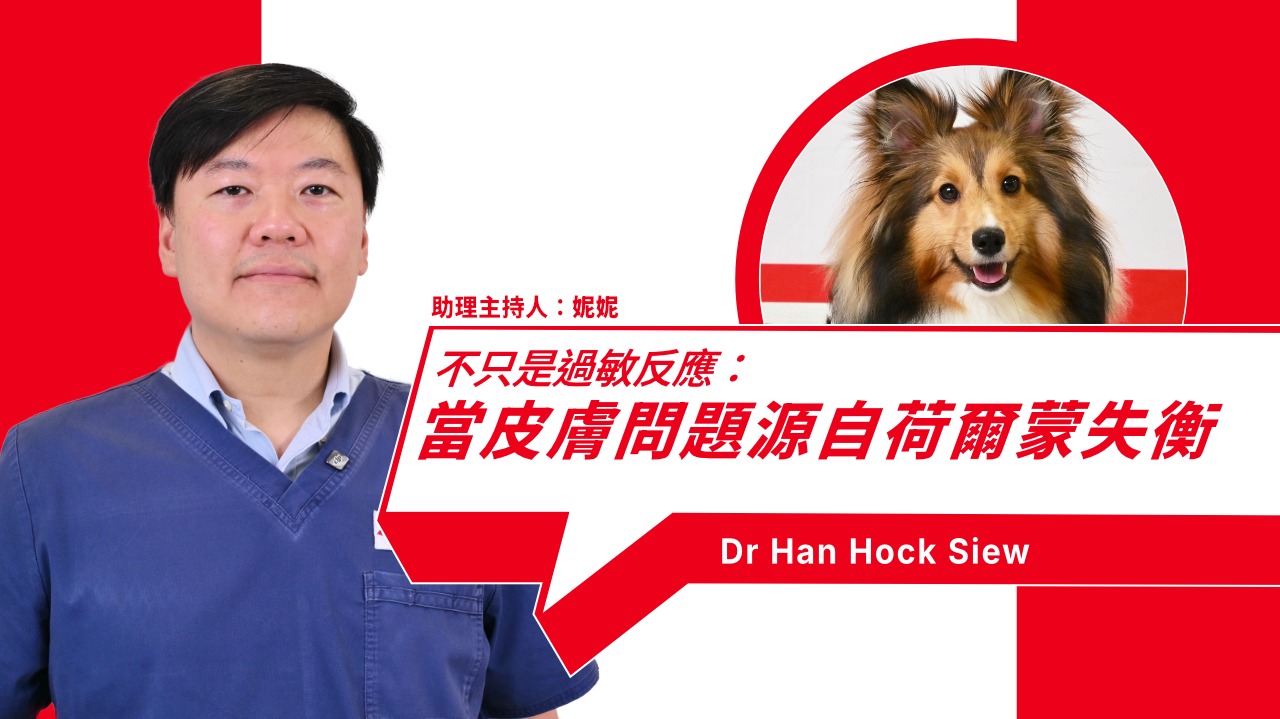 Deconstructing Chronic Canine Skin Diseases 